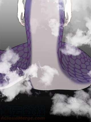 绿荫之冠16.这是…精灵？