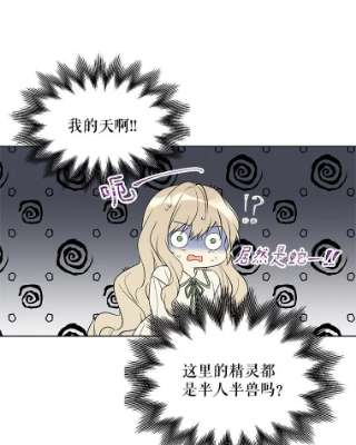 绿荫之冠16.这是…精灵？