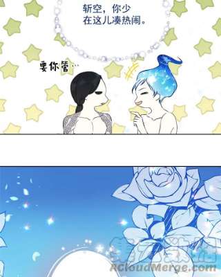 绿荫之冠16.这是…精灵？