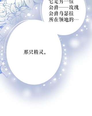 绿荫之冠16.这是…精灵？