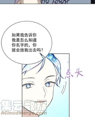 绿荫之冠16.这是…精灵？