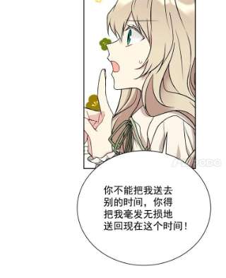 绿荫之冠16.这是…精灵？