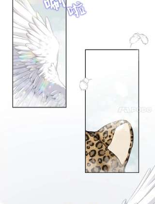 绿荫之冠16.这是…精灵？