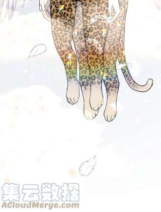 绿荫之冠16.这是…精灵？