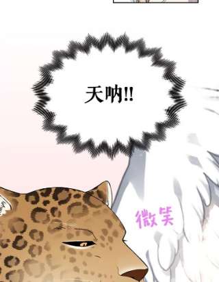 绿荫之冠17.我不是作者？