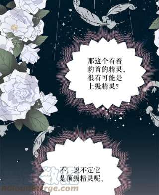 绿荫之冠17.我不是作者？