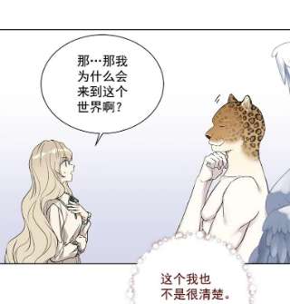 绿荫之冠17.我不是作者？