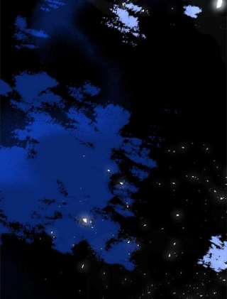 绿荫之冠17.我不是作者？