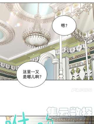 绿荫之冠17.我不是作者？