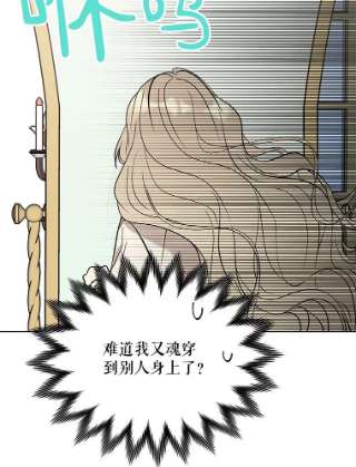 绿荫之冠17.我不是作者？