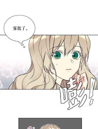 绿荫之冠17.我不是作者？