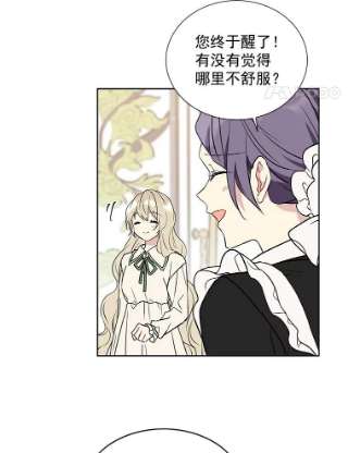 绿荫之冠17.我不是作者？