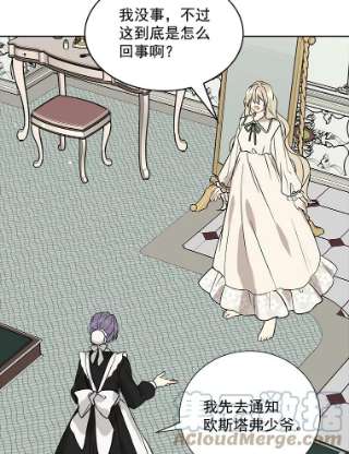 绿荫之冠17.我不是作者？