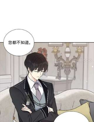 绿荫之冠17.我不是作者？