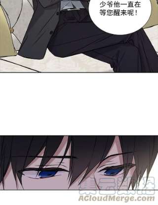 绿荫之冠17.我不是作者？