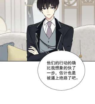 绿荫之冠19.我不会死的