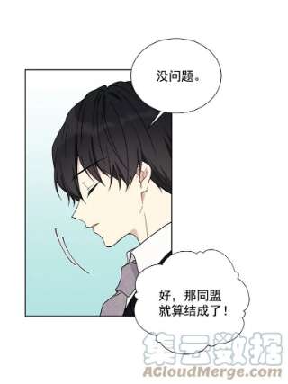 绿荫之冠20.开启新阶段