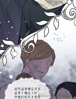 绿荫之冠22.精灵族来人