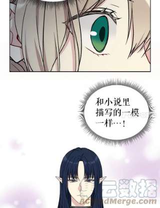 绿荫之冠22.精灵族来人