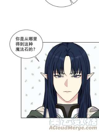 绿荫之冠22.精灵族来人