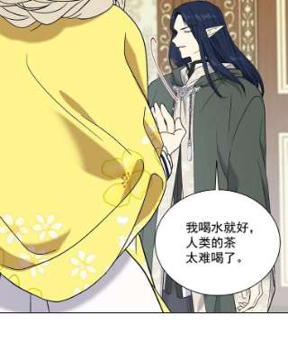 绿荫之冠22.精灵族来人