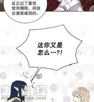 绿荫之冠23.你到底是谁