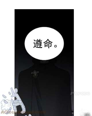 绿荫之冠26.绿影