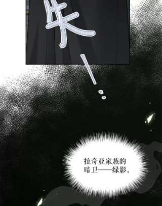 绿荫之冠26.绿影