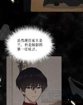 绿荫之冠26.绿影