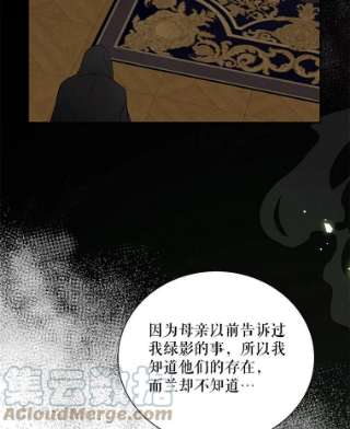 绿荫之冠26.绿影