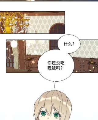 绿荫之冠26.绿影