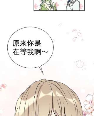 绿荫之冠26.绿影