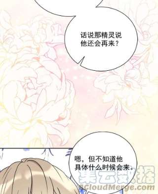 绿荫之冠26.绿影