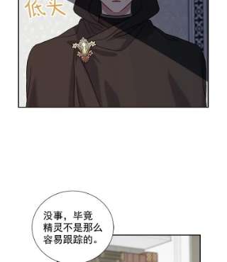 绿荫之冠26.绿影