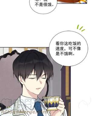 绿荫之冠26.绿影