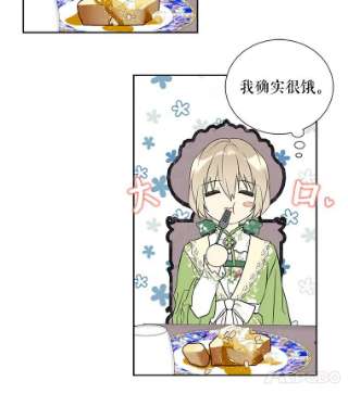 绿荫之冠26.绿影