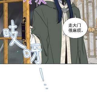 绿荫之冠26.绿影