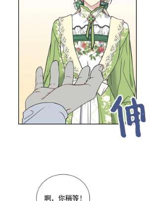 绿荫之冠26.绿影