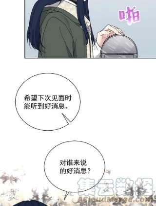 绿荫之冠26.绿影