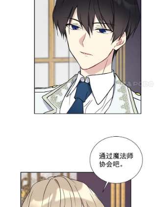 绿荫之冠26.绿影