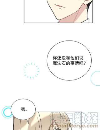 绿荫之冠26.绿影