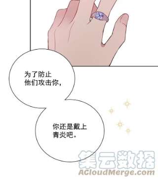 绿荫之冠27.谈判前的准备