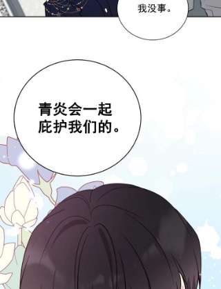 绿荫之冠27.谈判前的准备