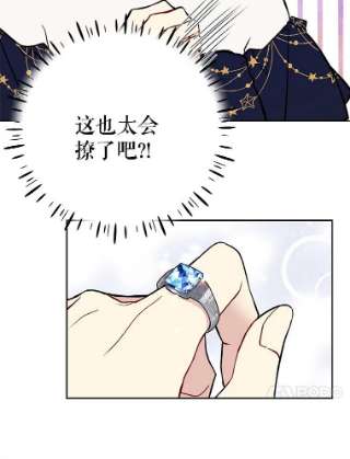 绿荫之冠27.谈判前的准备
