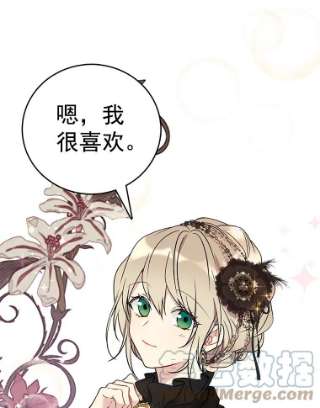 绿荫之冠27.谈判前的准备