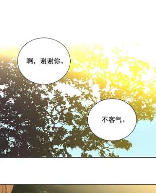 绿荫之冠27.谈判前的准备