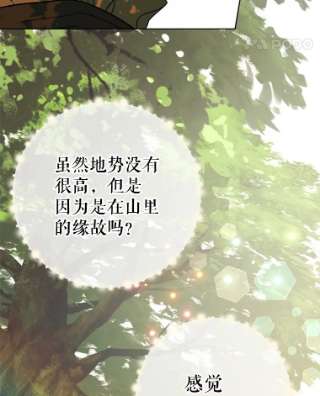 绿荫之冠27.谈判前的准备