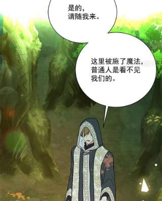 绿荫之冠27.谈判前的准备