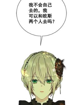 绿荫之冠27.谈判前的准备