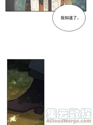 绿荫之冠27.谈判前的准备